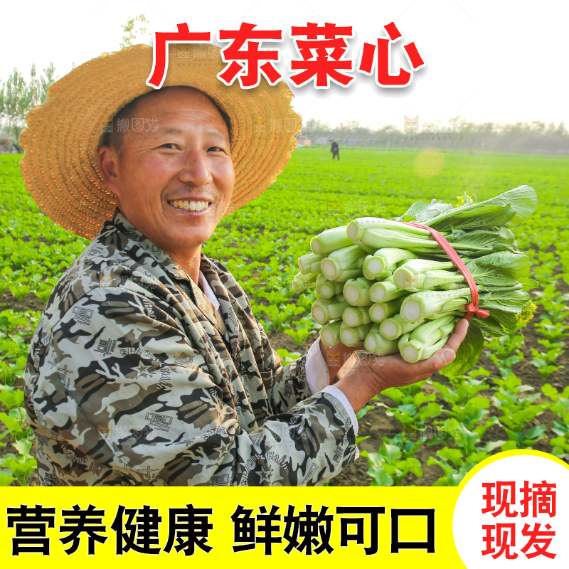手里拿着广东菜心