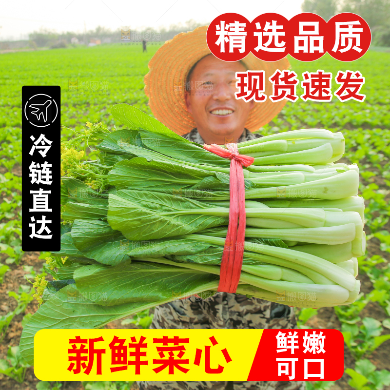 手里拿着广东菜心