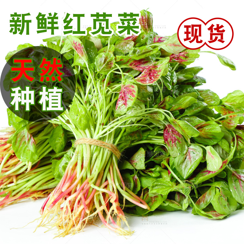 白底上的农家苋菜