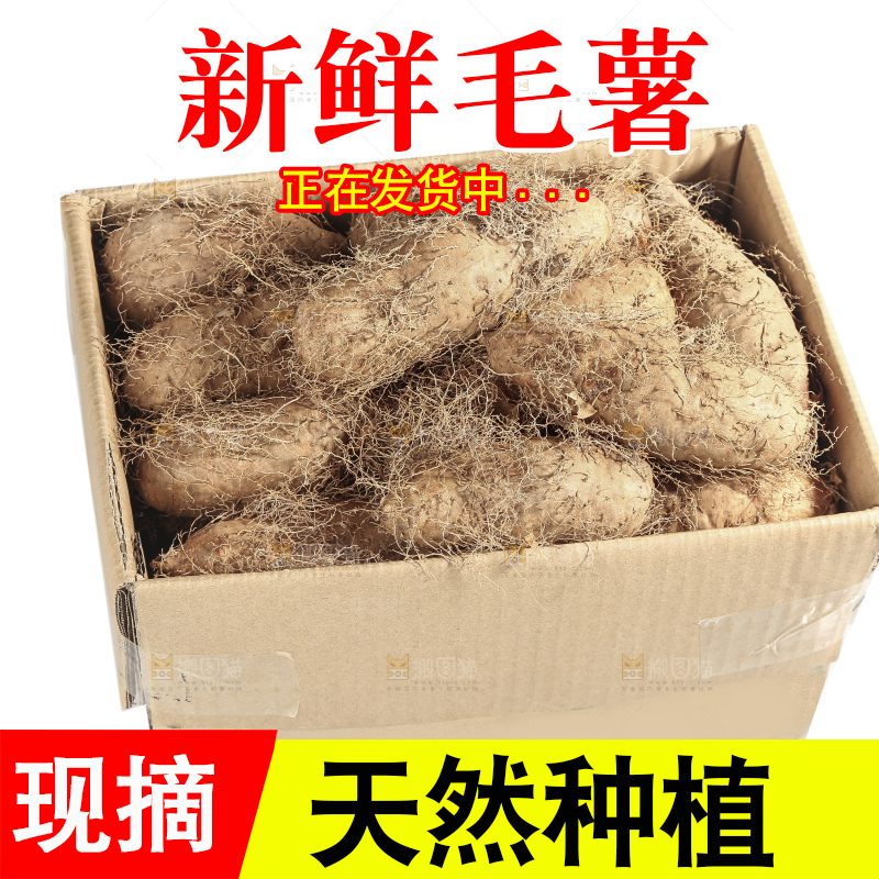 白底上的新鲜毛薯