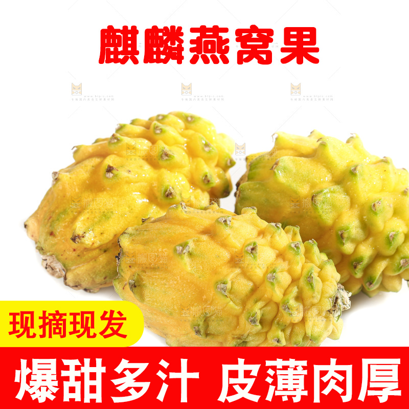 白底上的燕窝果