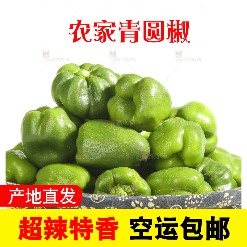 白底上的青圆椒