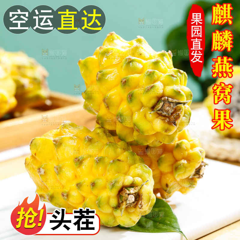 浅底上的燕窝果
