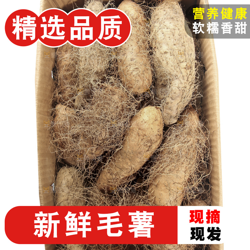 白底上的新鲜毛薯