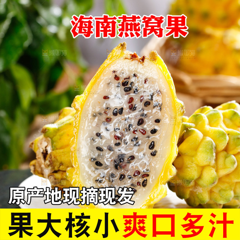 深底上的燕窝果