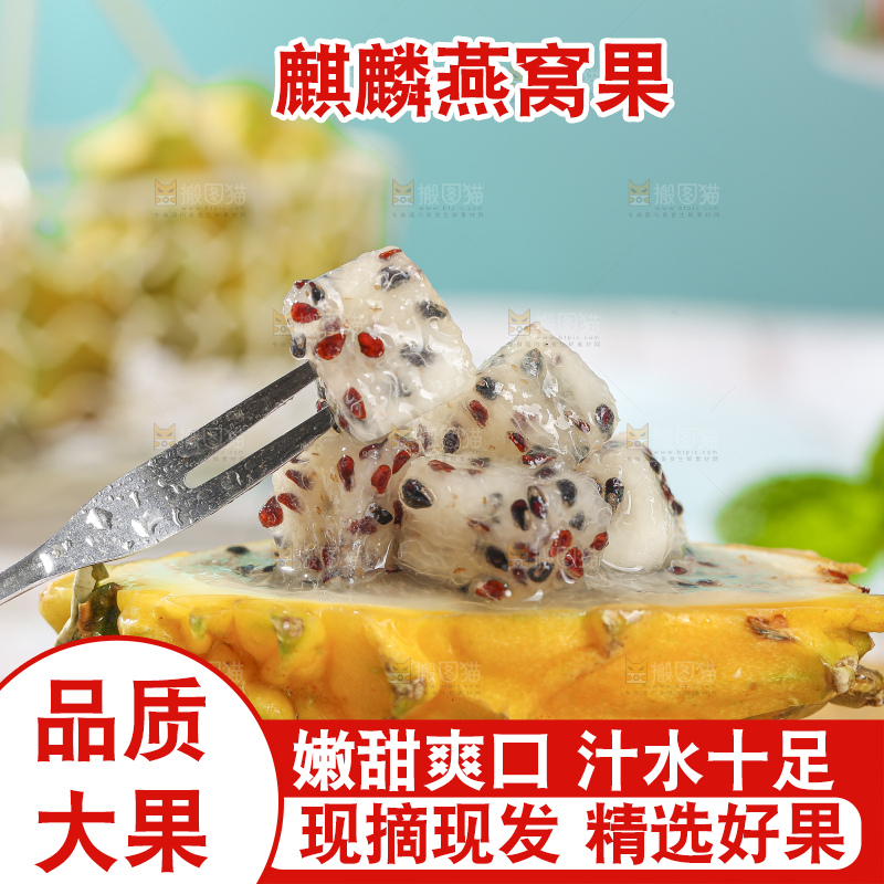 浅底上的燕窝果