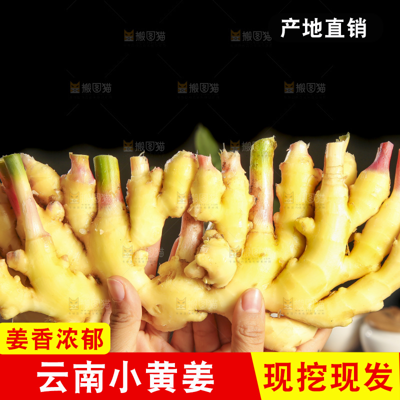 深底上的小黄姜