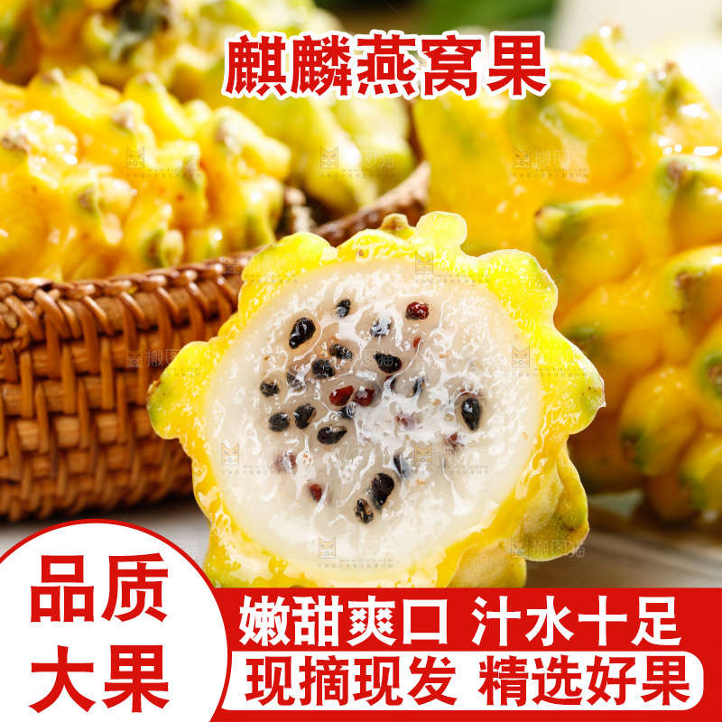 浅底上的燕窝果