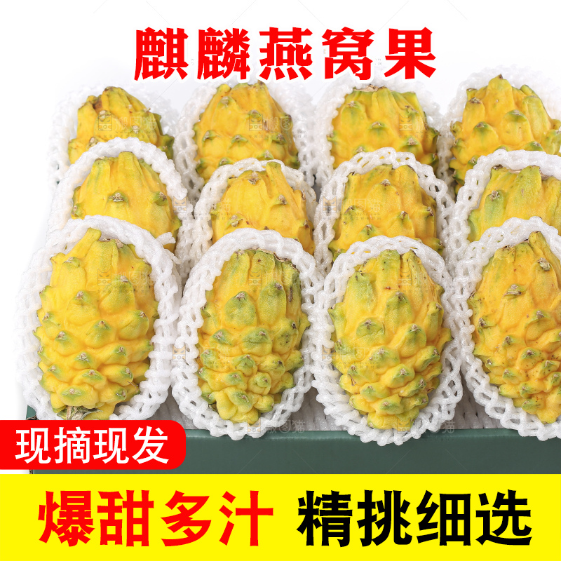 白底上的燕窝果