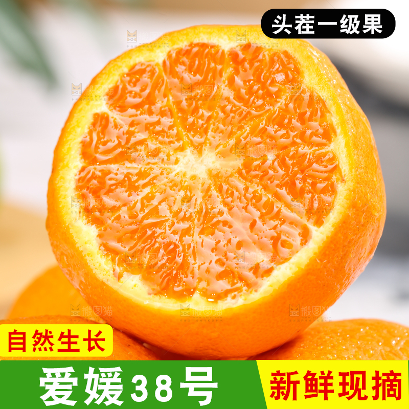 浅底上的爱媛果冻橙