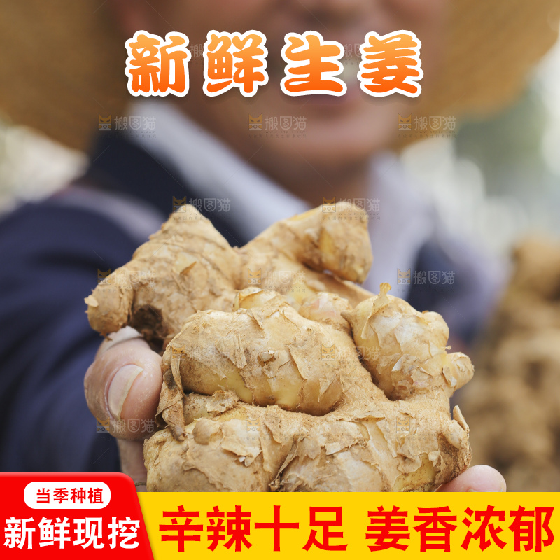 手里拿着新鲜生姜