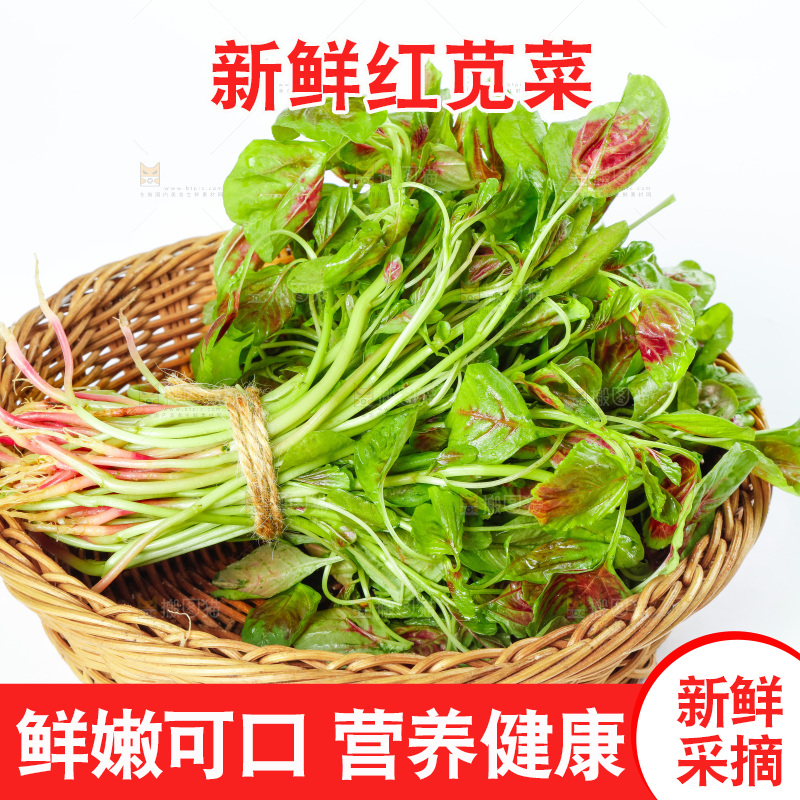 白底上的农家苋菜