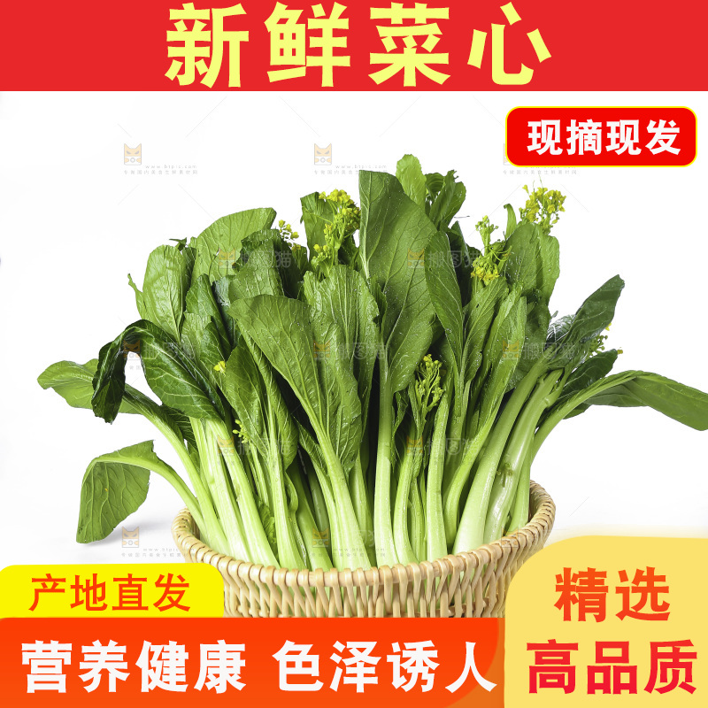 白底上的广东菜心