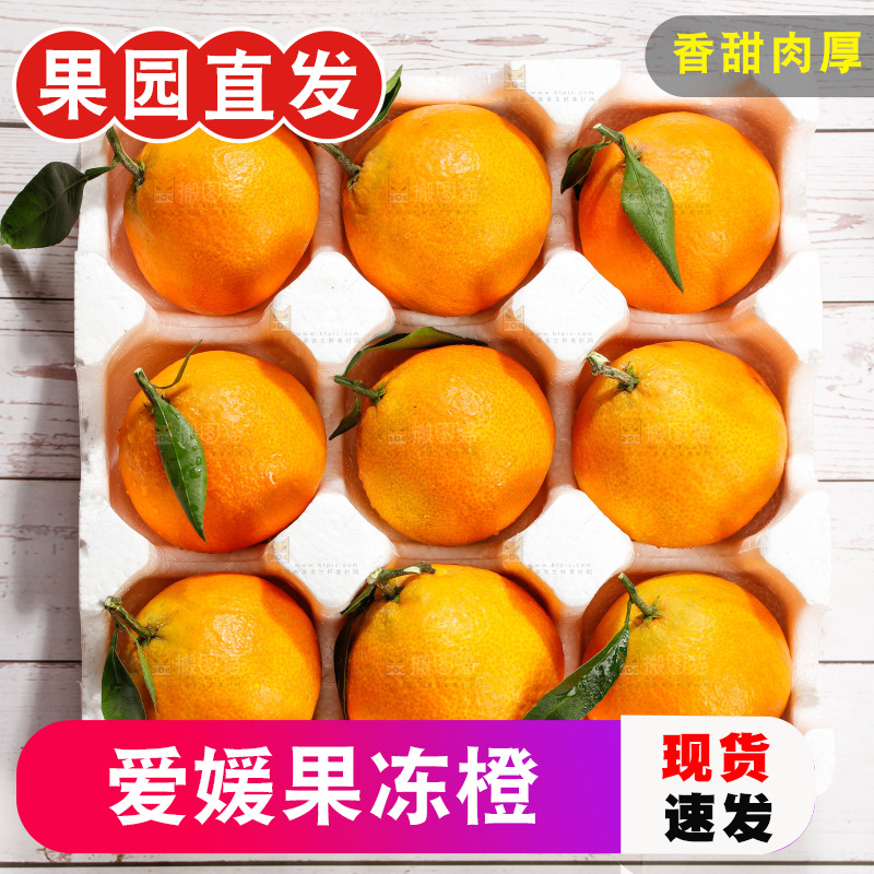 浅底上的爱媛果冻橙