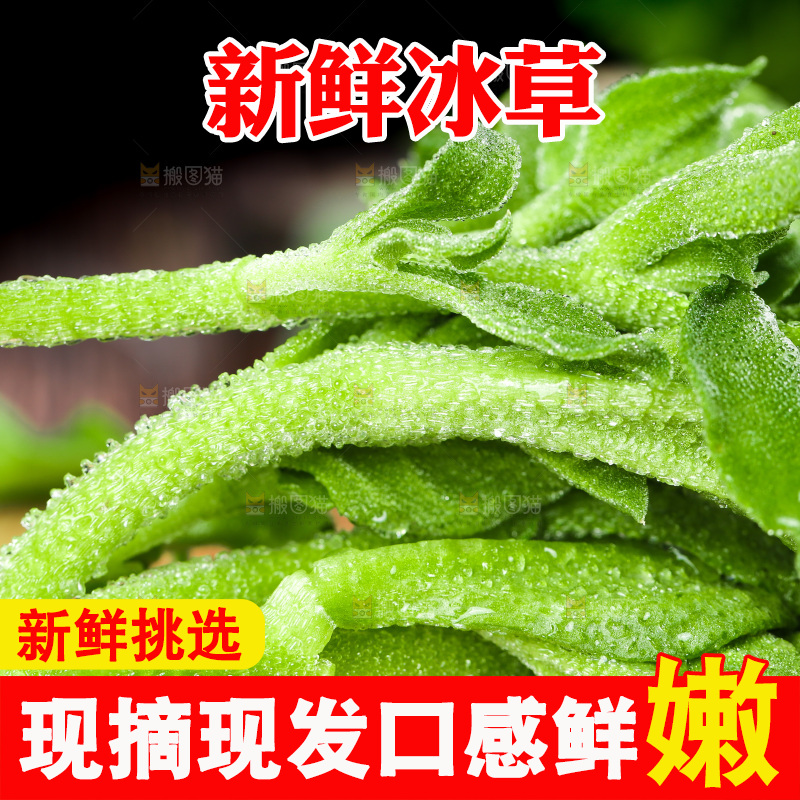 深底上的冰草