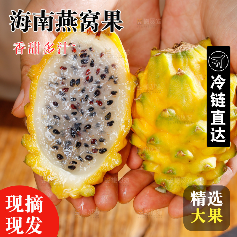 深底上的燕窝果