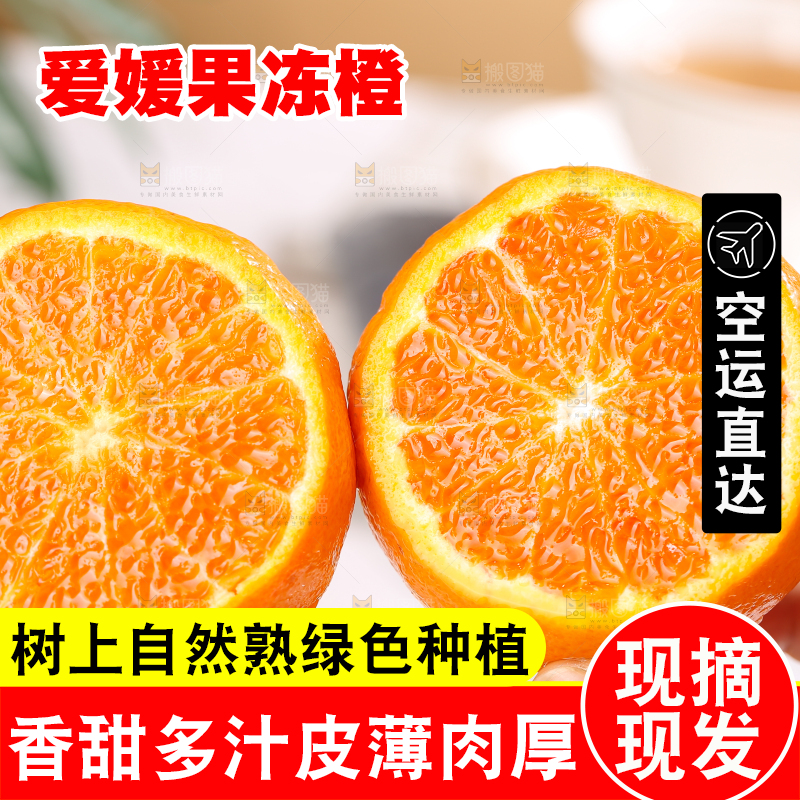 浅底上的爱媛果冻橙