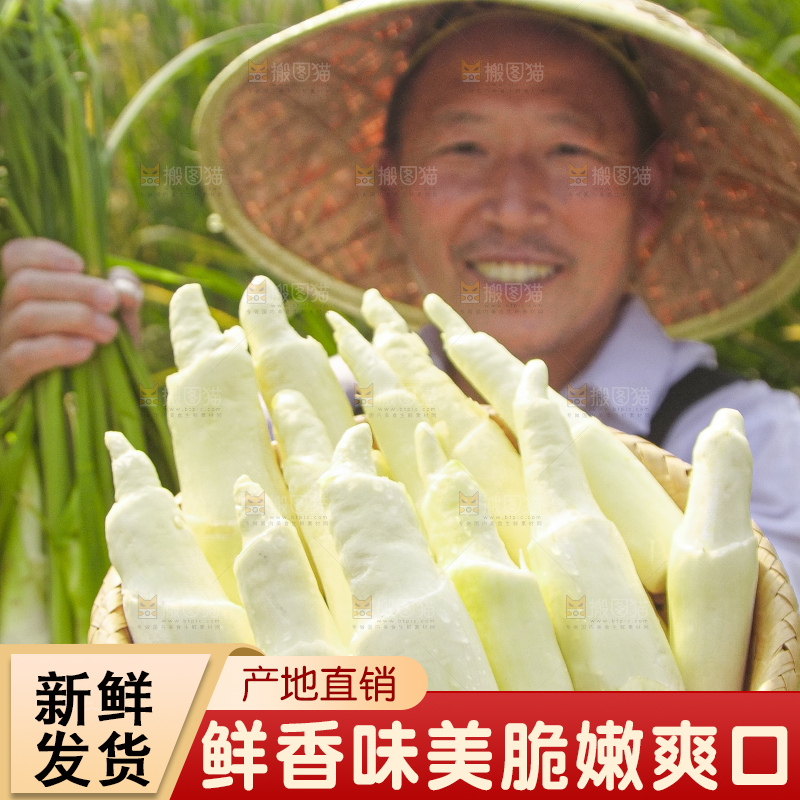 手里拿着新鲜茭白
