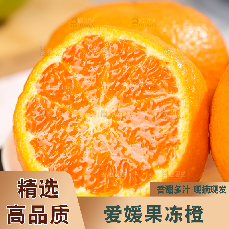 浅底上的爱媛果冻橙