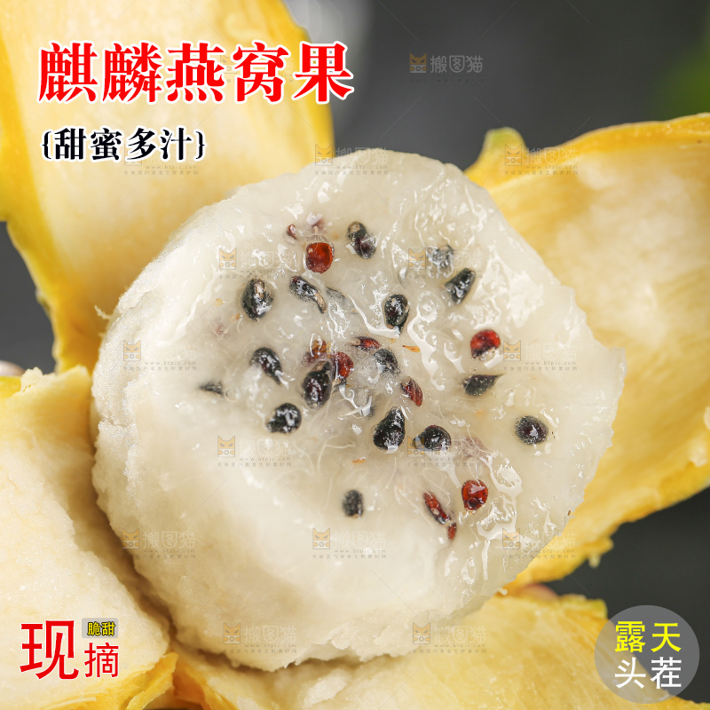 深底上的燕窝果
