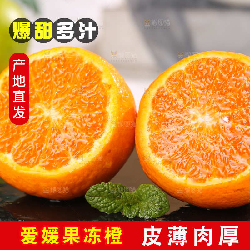 浅底上的爱媛果冻橙