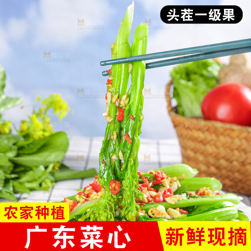 浅底上的广东菜心