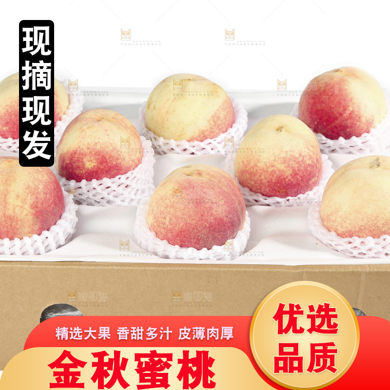 白底上的金秋红蜜桃