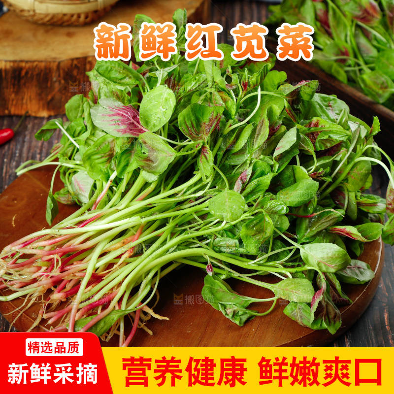 深底上的新鲜苋菜