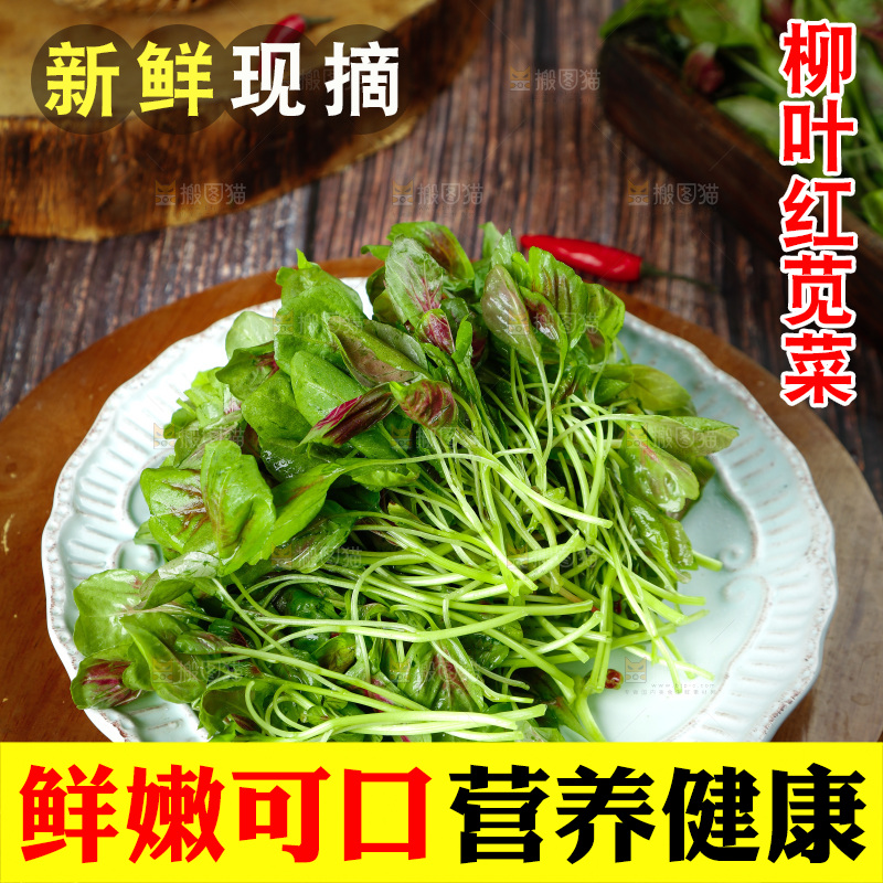 深底上的新鲜苋菜