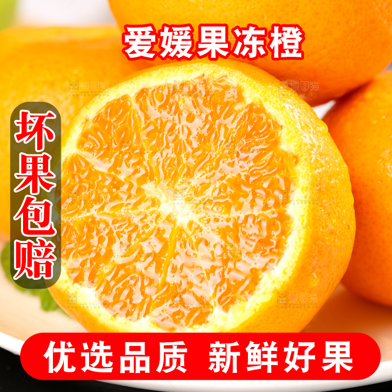 浅底上的爱媛果冻橙