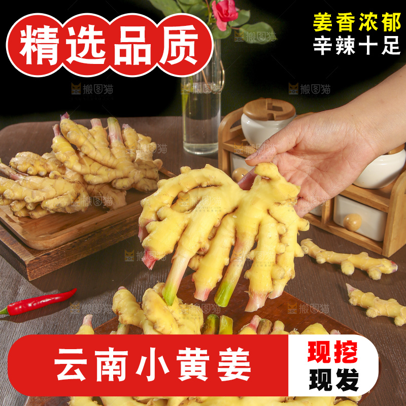 深底上的小黄姜