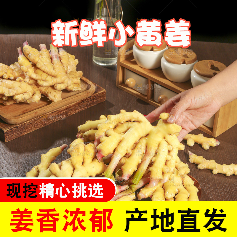 深底上的小黄姜