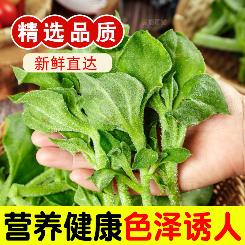 深底上的冰草