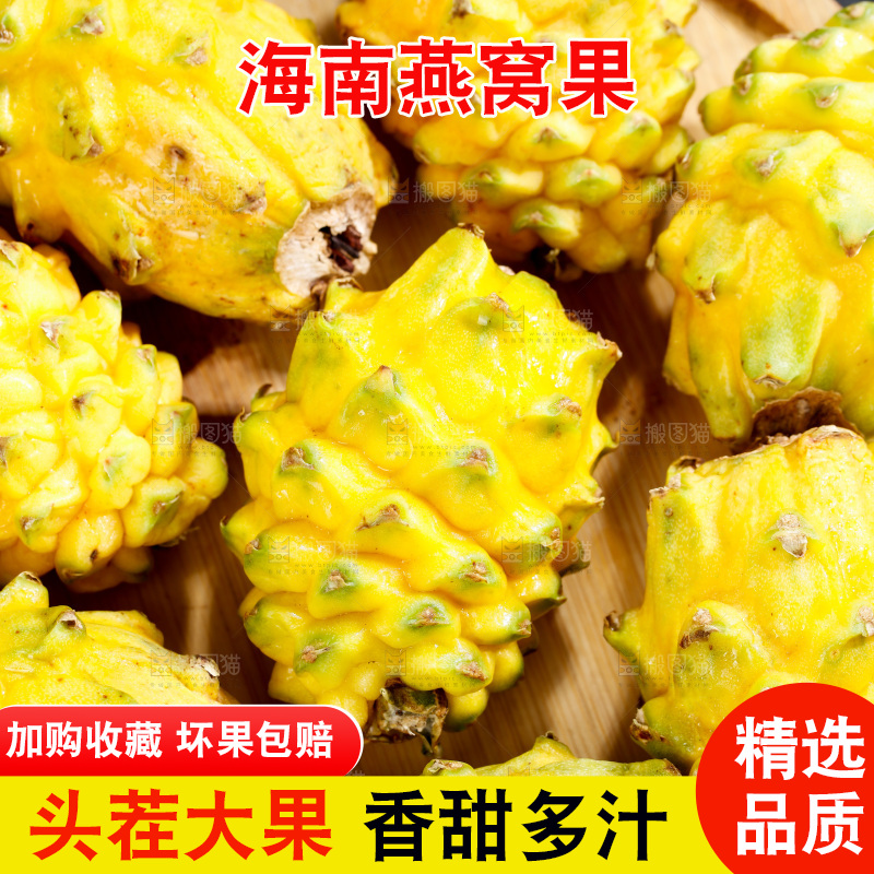深底上的燕窝果