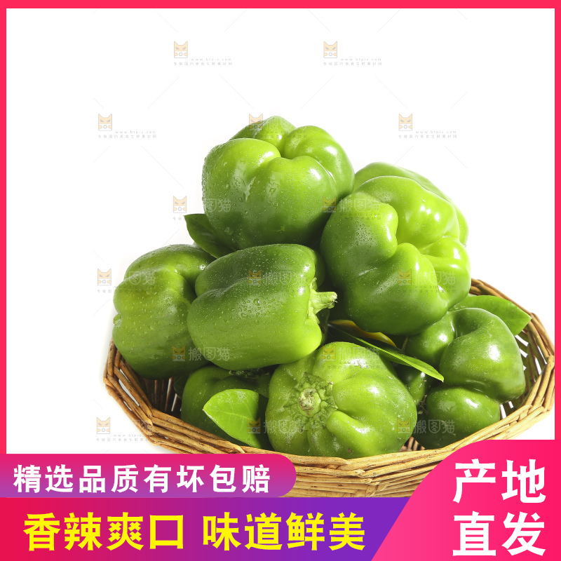 白底上的青圆椒