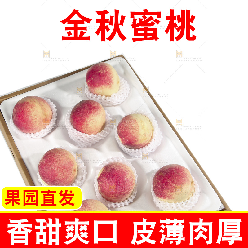白底上的金秋红蜜桃