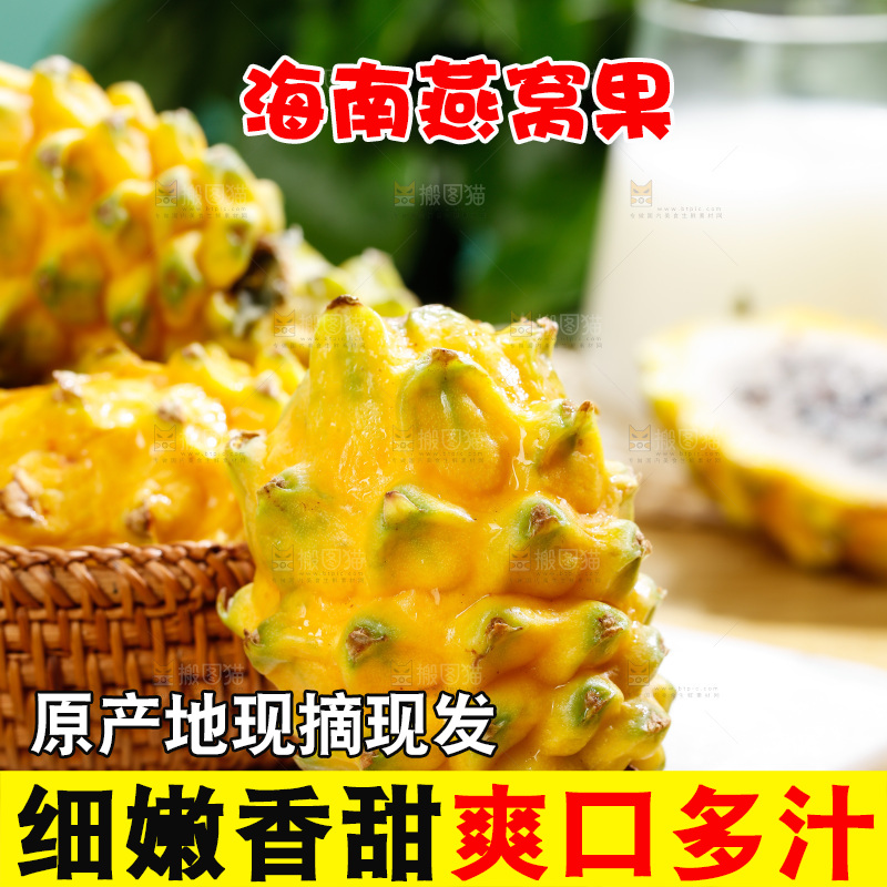 浅底上的燕窝果