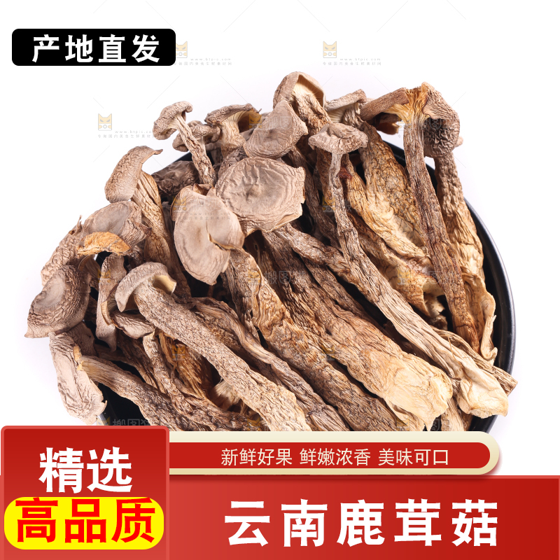 白底上的鹿茸菇