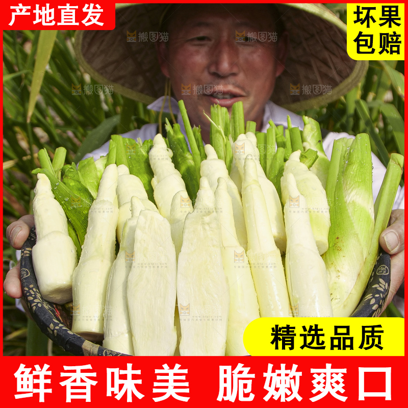 手里拿着新鲜茭白