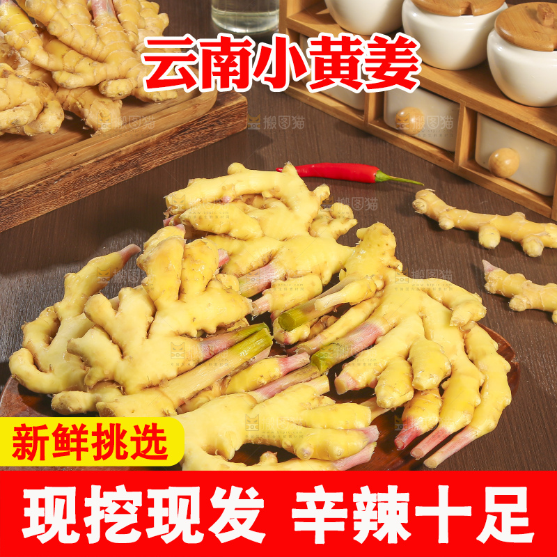 深底上的小黄姜