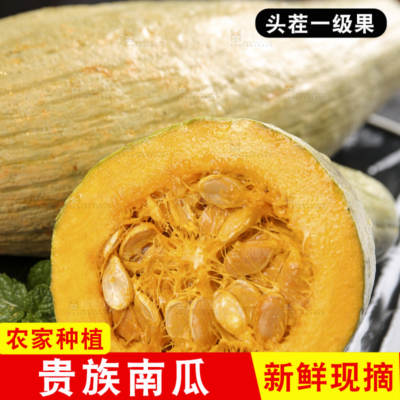 深底上的贵族南瓜