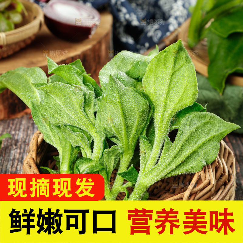深底上的冰草