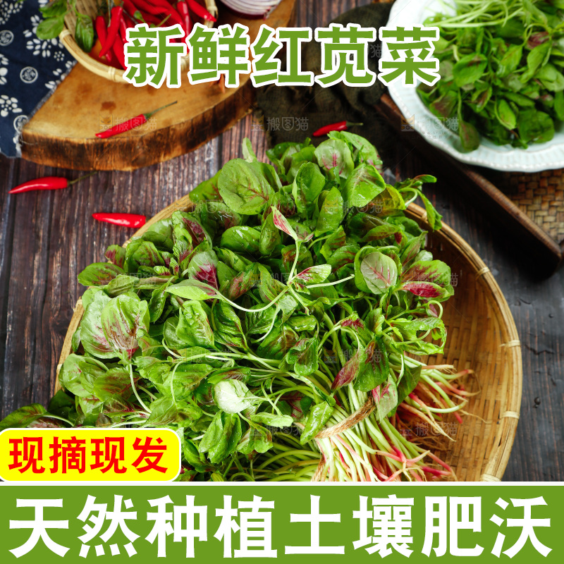 深底上的新鲜苋菜