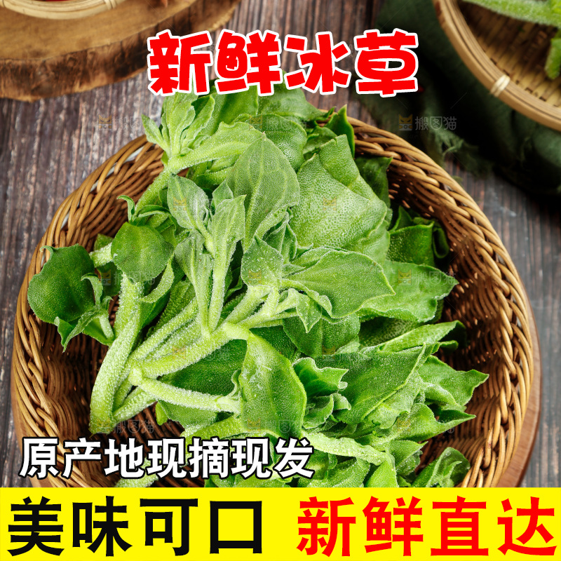 深底上的冰草