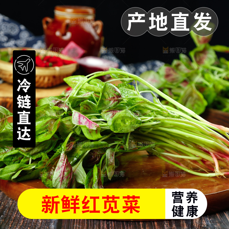 深底上的新鲜苋菜