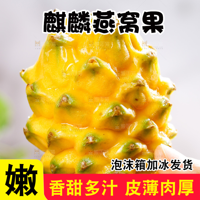 深底上的燕窝果