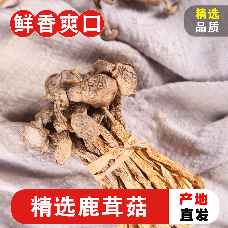 浅底上的鹿茸菇