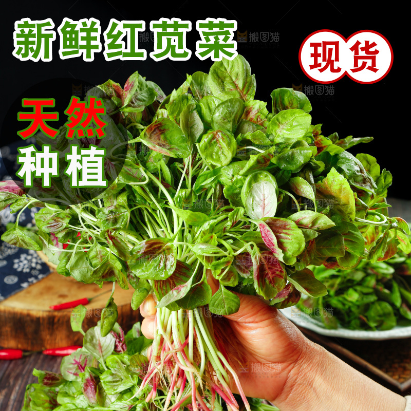 深底上的新鲜苋菜