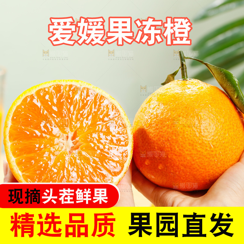 浅底上的爱媛果冻橙