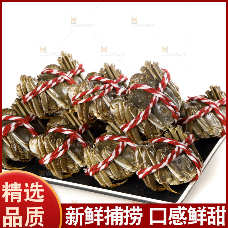 白底上的大闸蟹